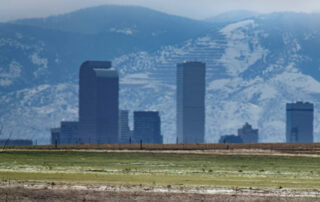 Denver Colorado Skyline With Bison And Snow | The Wise Team