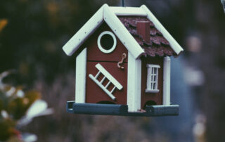 Small Bird House Hanging In Wintry Trees