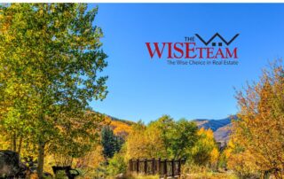 Wildfire Preparedness: A Guide for Colorado Residents | The Wise Team